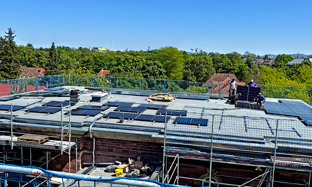 STRIPPEL OFD - Photovoltaik-Anlage